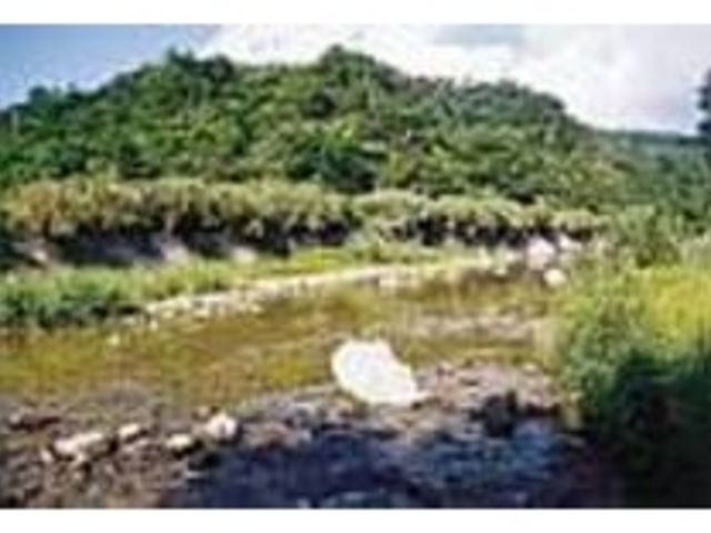 昔にタイムスリップしたようなのどかな風景_与那川
