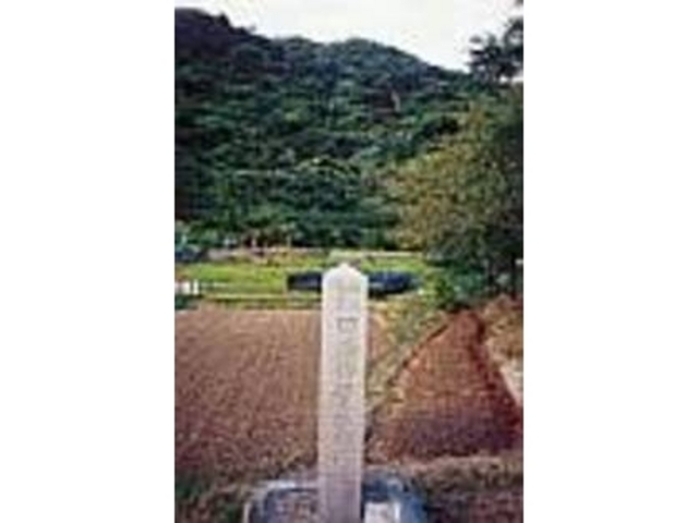 地元の人にとっては、昔懐しい遊び場だった_田港御願の植物群落