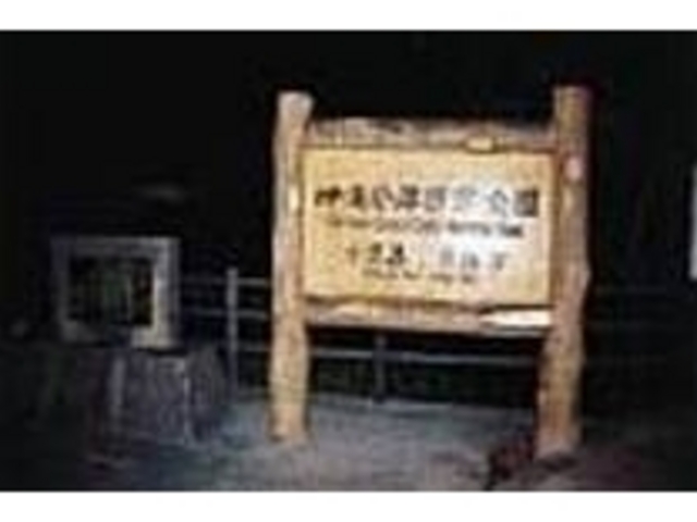 この先へ進むと海岸へ抜ける階段がある_沖縄海岸国定公園