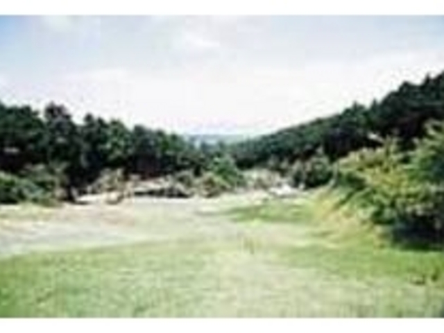 ちびっ子にはうってつけの冒険の森_みずほの森公園