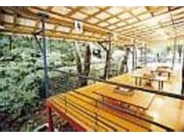 清流の側なのでとても涼しくて心地いい_千々石のやまめの里