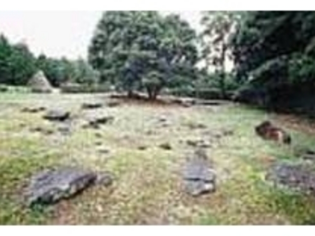日本最古最大級の集団墓地として有名_原山ドルメン