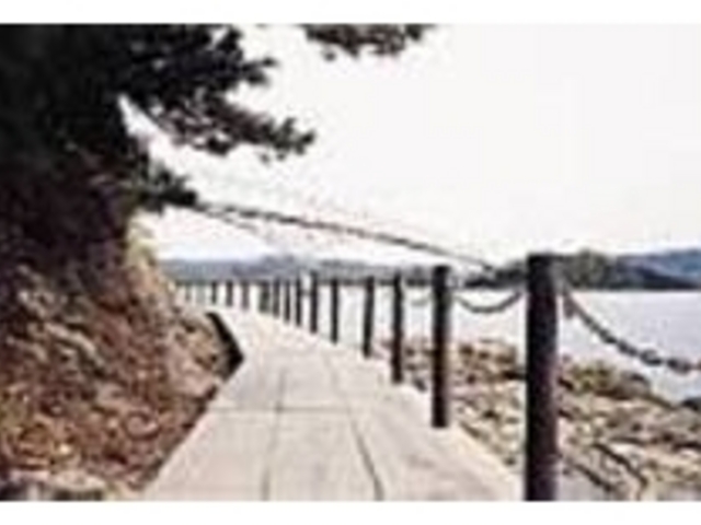 下から眺めると若松大橋の雄大さをより実感_潮の香薫る守崎公園