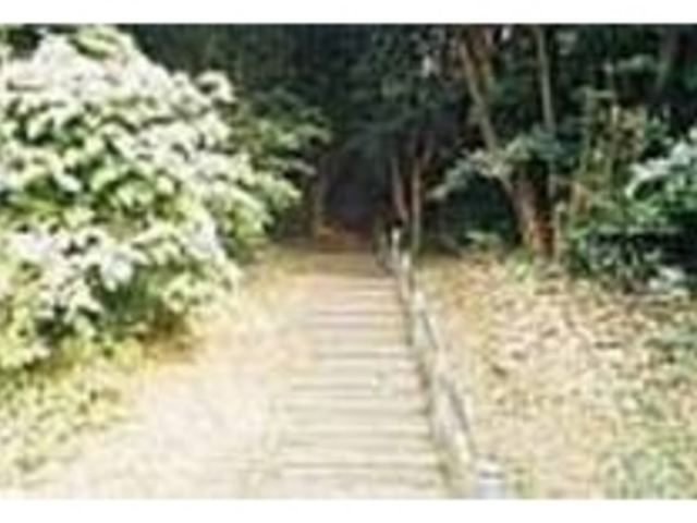 遊歩道はイノシシが出没するほど自然豊か_明神ヶ辻山自然公園