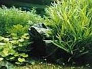 スタジオ・ポアソンの写真2