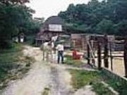 チャンドラーズランチの写真2