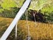 さくの川の写真2