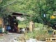 ヤマメの里梅園の写真2