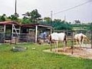 安田くいなふれあい公園の写真2