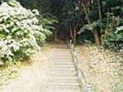 明神ヶ辻山自然公園の写真1