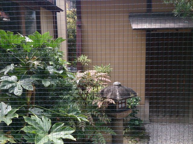 がんこ屋敷 和歌山六三園