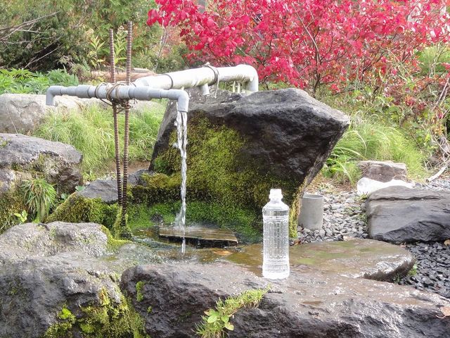 甘露水