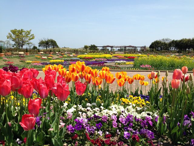 せんだい農業園芸センター みどりの杜