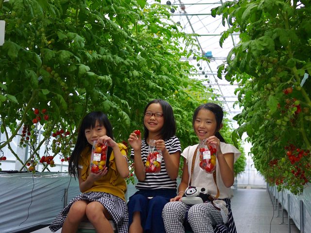 せんだい農業園芸センター みどりの杜