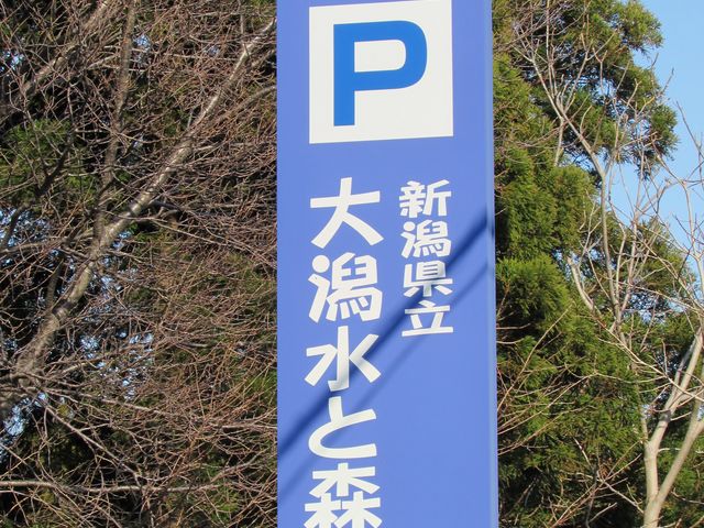 新潟県立 大潟水と森公園