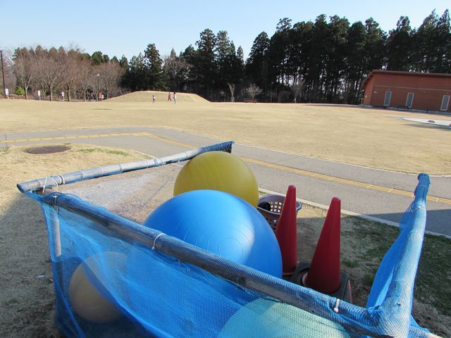 新潟県立 大潟水と森公園