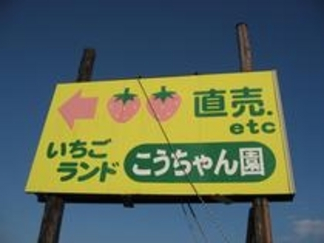 こうちゃん園