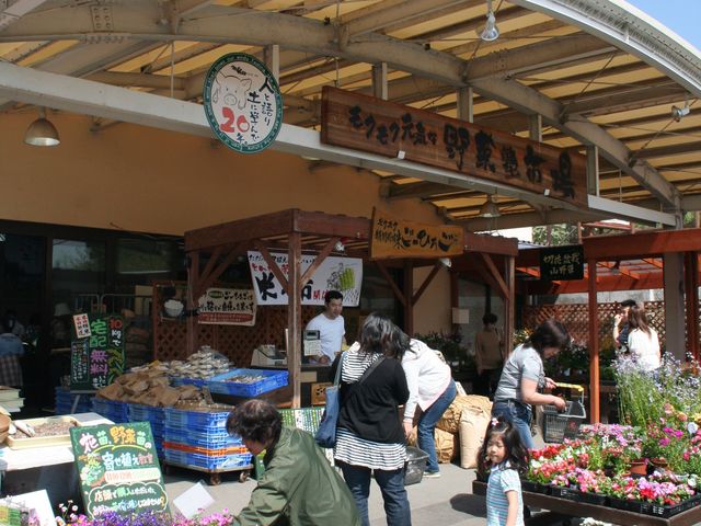 入口にある野菜塾市場には、毎朝、地元をはじめ全国から集まる新鮮なお野菜や果物が並びます。_伊賀の里モクモク手づくりファーム