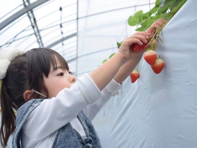 エミナース農園