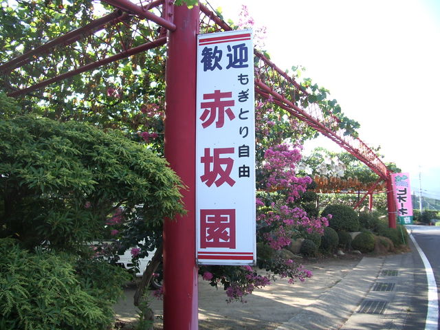 赤坂園