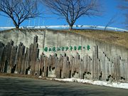 国立花山青少年自然の家の写真2