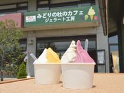 せんだい農業園芸センター みどりの杜の写真2
