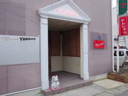 YANSHUの写真3