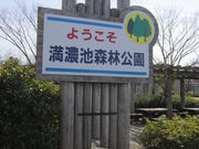 満濃池森林公園の写真1
