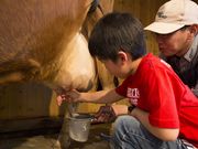 伊賀の里モクモク手づくりファームの写真4