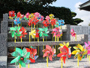 栄久山妙善寺の写真3