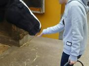 ふれあい乗馬くらぶ 蹄跡の森 清武ホースパークの写真3
