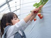エミナース農園の写真3