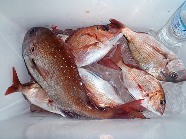 釣り船 宏漁丸