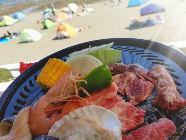 ビーチハウス 海岸物語
