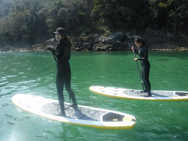 rine surf