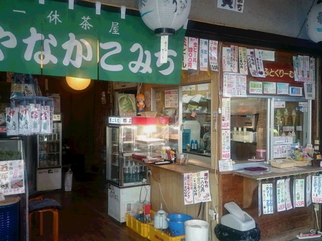 やなかこみち