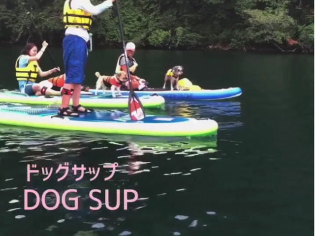 愛犬との夏の思い出にも…_Naturance OutdoorStyle