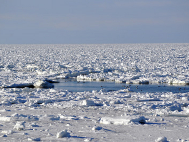 オホーツク海の流氷_ごとうタクシー