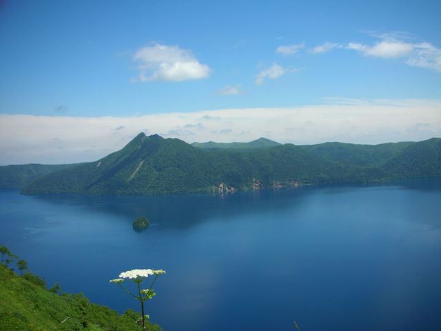 山田タクシー
