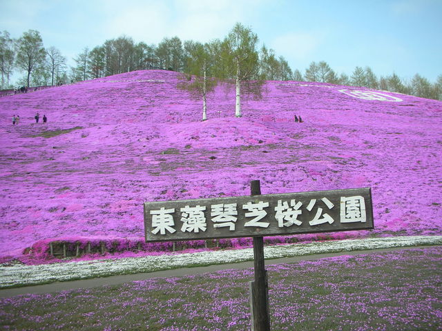 山田タクシー