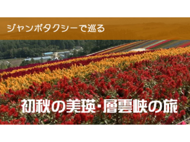 千鳥ハイヤー
