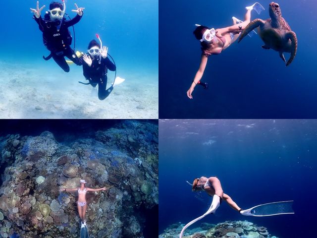 海遊びネジ