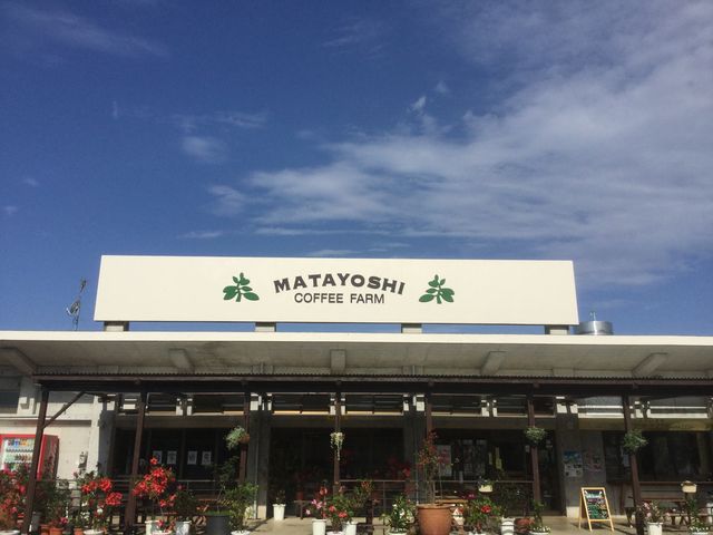 店舗屋根の看板国道から見えます_又吉コーヒー園