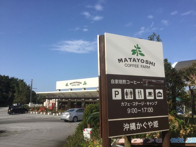 入り口の看板みどりの木がシンボルマークです。_又吉コーヒー園