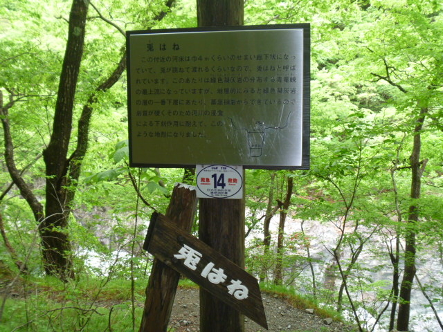 兎はね