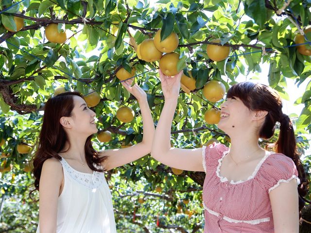 梨園よねくら