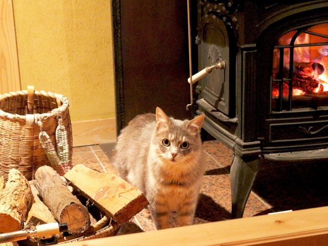 10月〜4月くらいまでは暖炉が使えます。薪は無料。(猫は付いてません!)_古民家の宿 金木