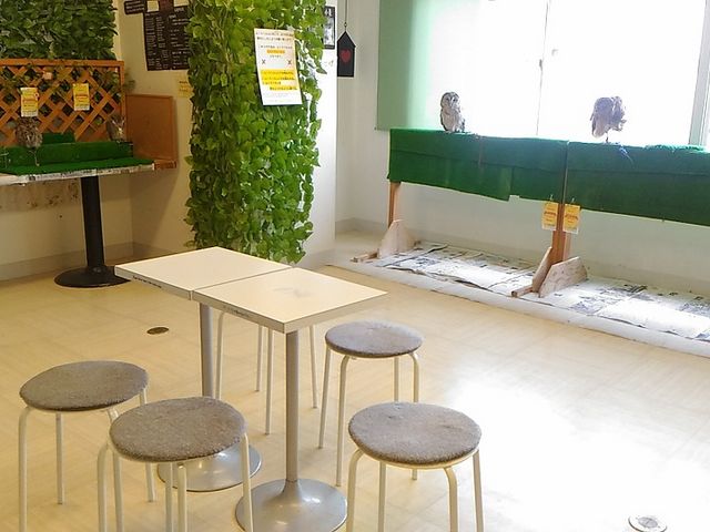 しあわせをよぶ ふくろうの城 原宿店