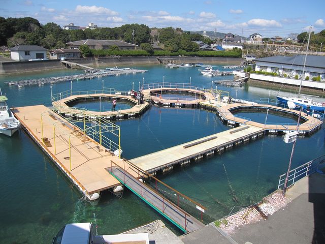 賢島フィッシングパーク 海遊苑