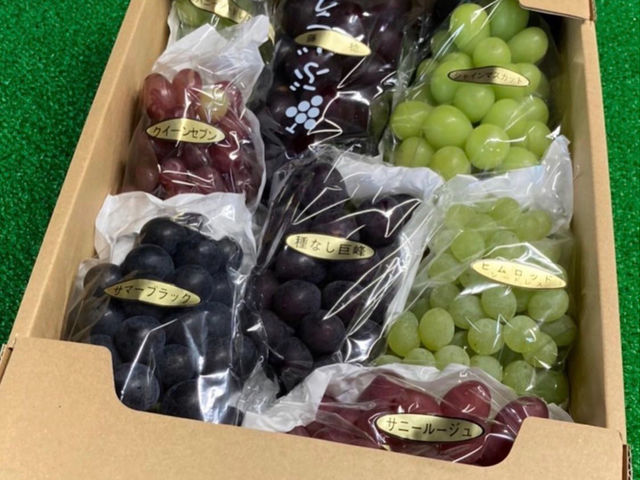 ぶどう宅配。季節によってさまざまな品種を取り扱っています。店頭又はHPよりFAXでご注文いただけます。お中元、お土産にどうぞ!_マルタ園